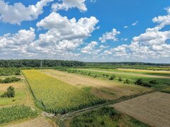 Gulia Tartasesti, padurea Raioasa, teren, investitie premium