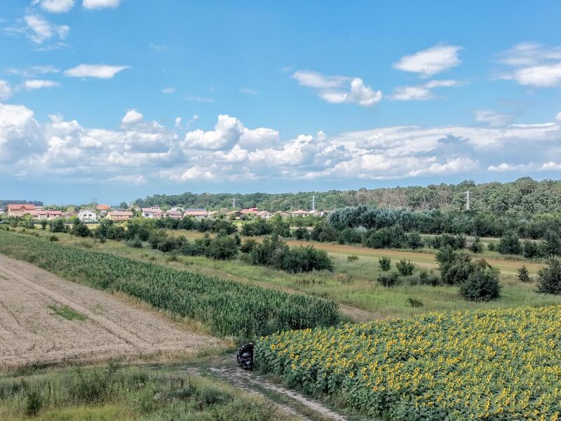 Gulia Tartasesti, padurea Raioasa, teren, investitie premium.