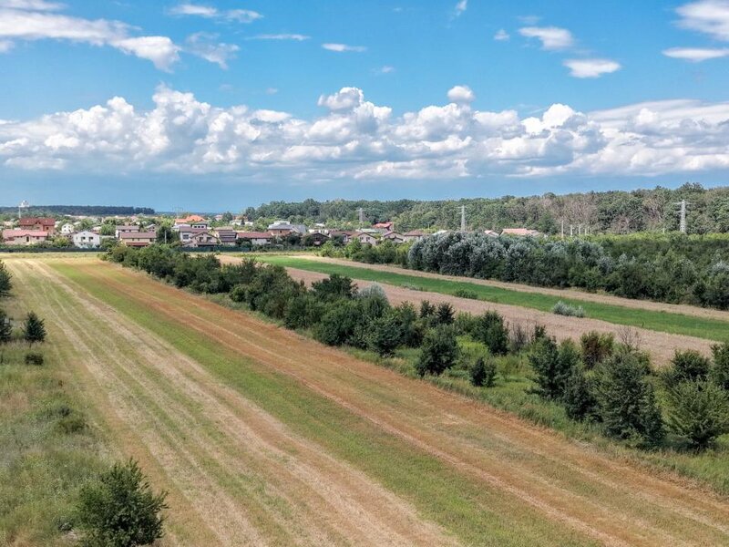 Gulia Tartasesti, padurea Raioasa, teren, investitie premium.