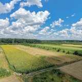 Gulia Tartasesti, padurea Raioasa, teren, investitie premium