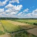 Gulia Tartasesti, padurea Raioasa, teren, investitie premium.